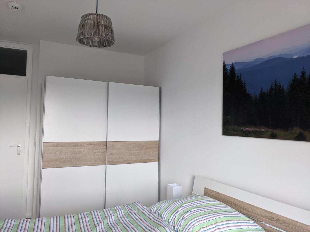 Fernblick Braunlage Apartment Ngoại thất bức ảnh